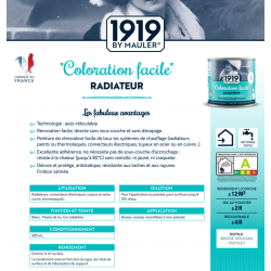 Peinture « Coloration Facile » Radiateur 0.5 l